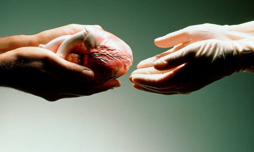 Transplantation