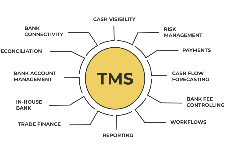 Treasury Software Market