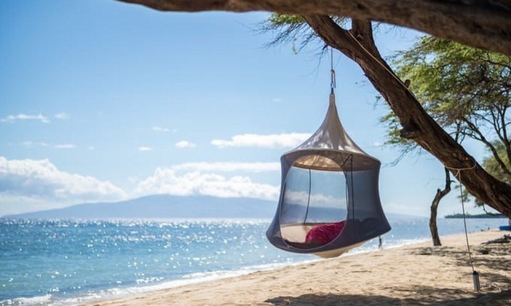 TreePod Lounger Market