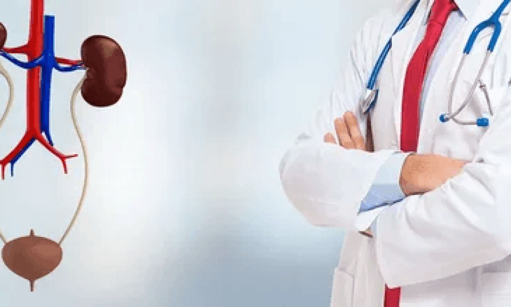 Urology Imaging Systems Market
