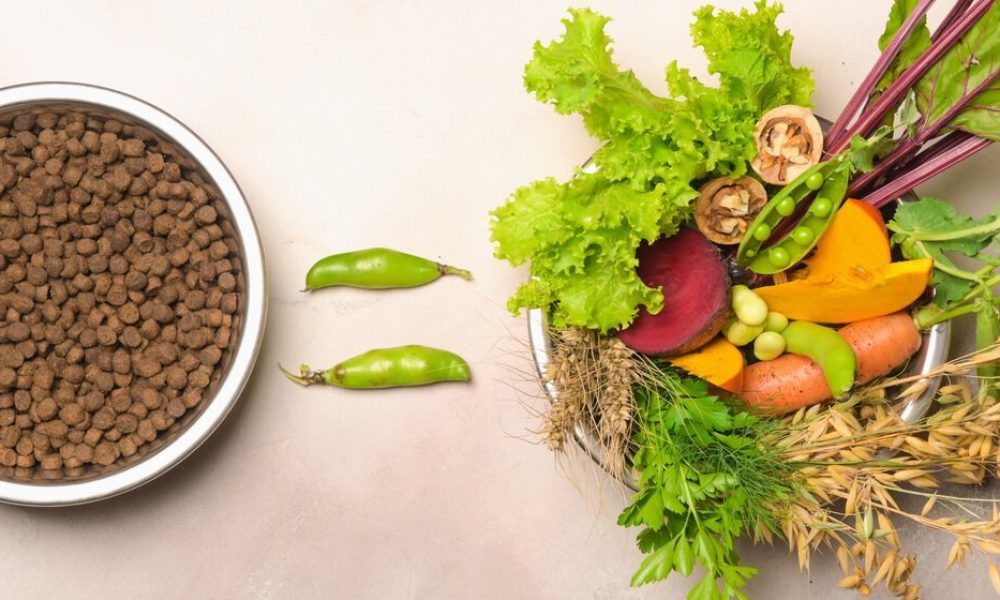 vegan-pet-food-market-may-see-a-big-move-major-giants-benevo