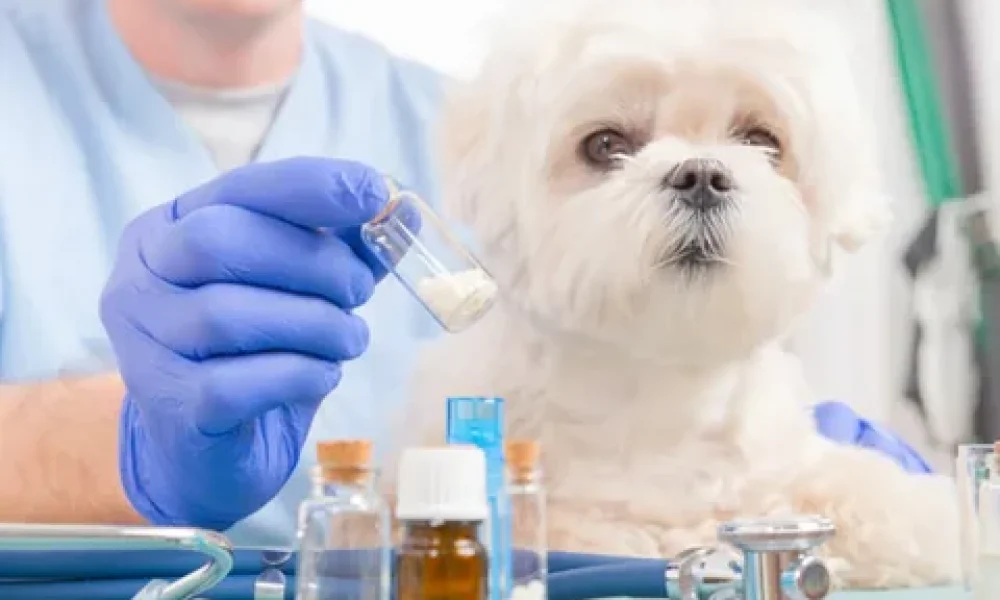 Veterinary Biologics Market