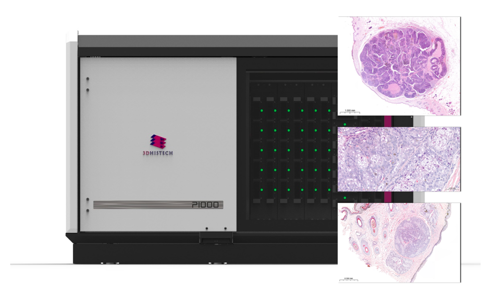Veterinary Digital Pathology Market