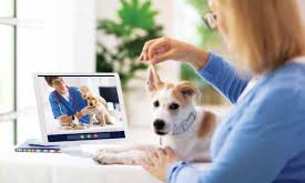 Veterinary Telemedicine Software Market
