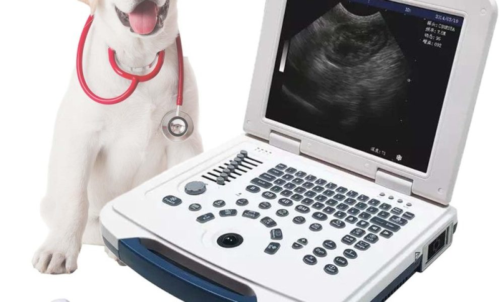 Veterinary Ultrasound Market (2)