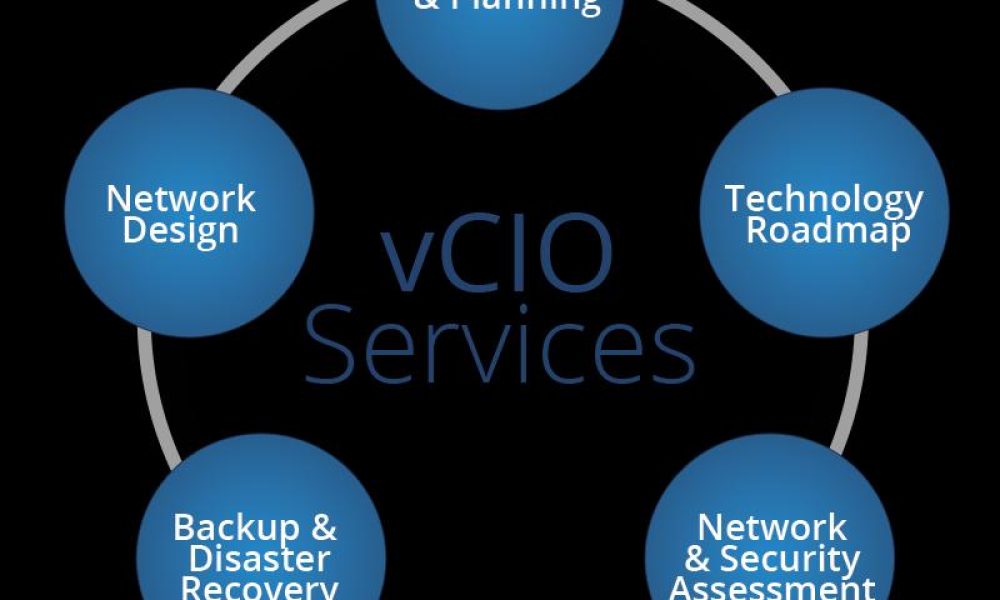 Virtual CIO Services Market
