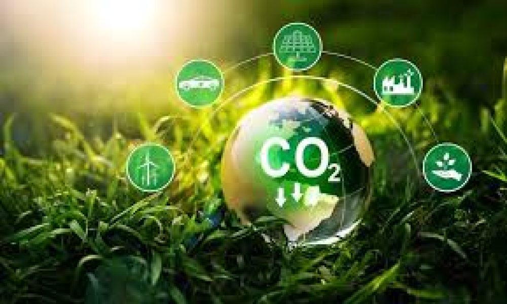 Voluntary Carbon Market (VCM) Market