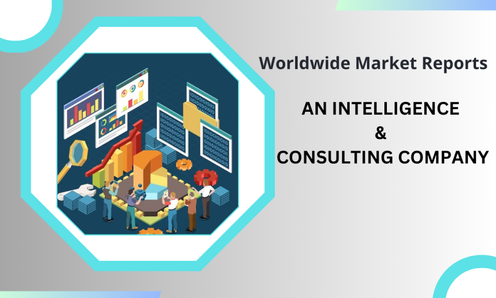 Senior Cultural Immersion Market