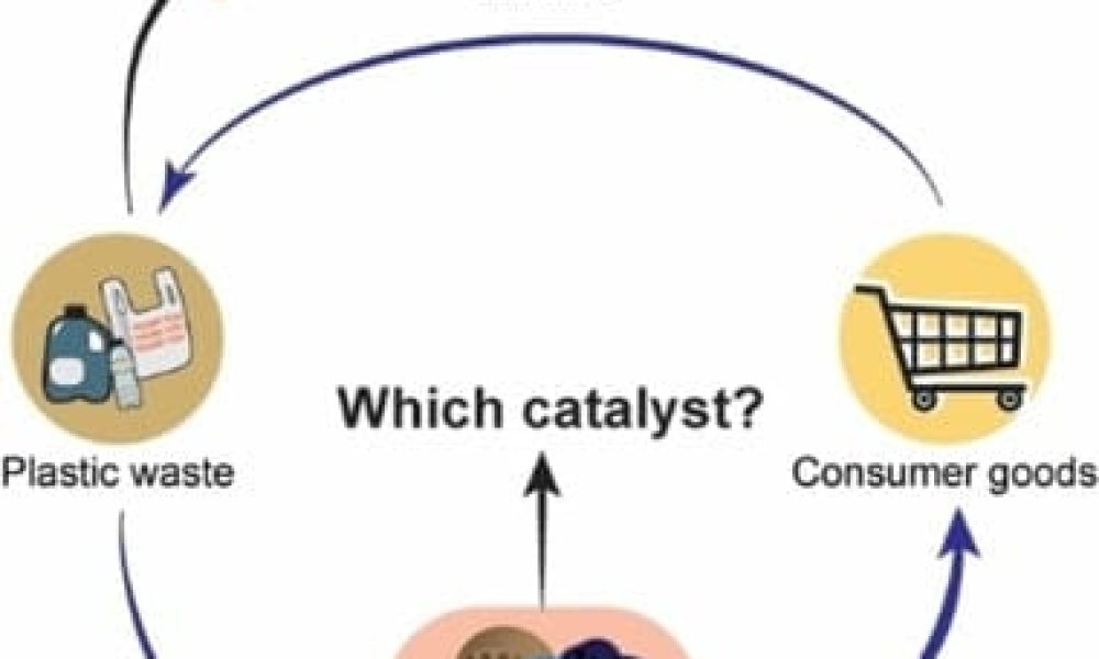 Waste Catalyst Recycling Market