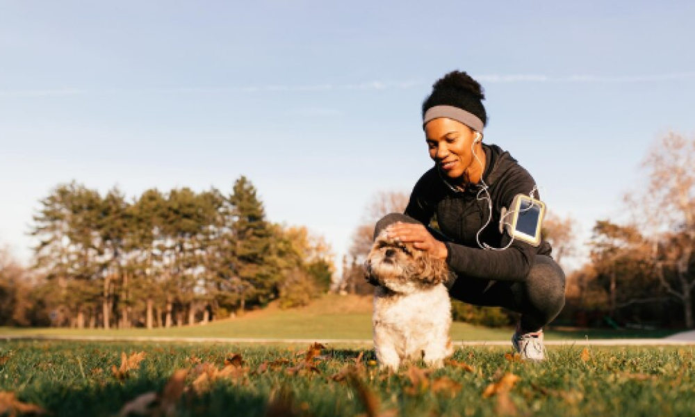Why Dogs Need Daily Exercise for Health and Happiness