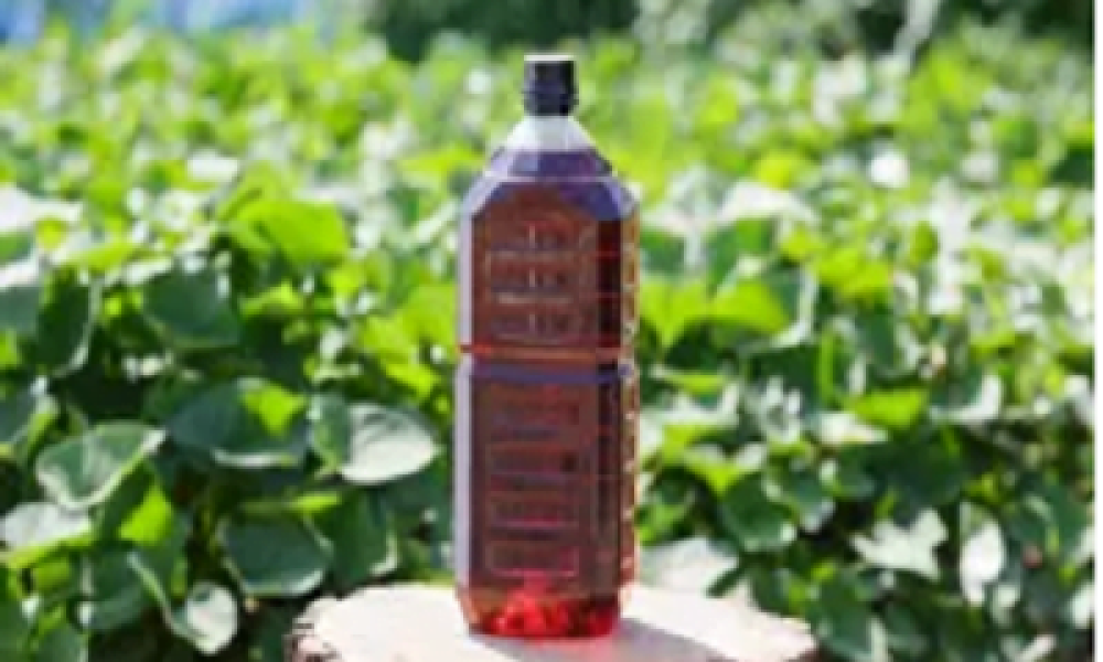 Wood Vinegar Market