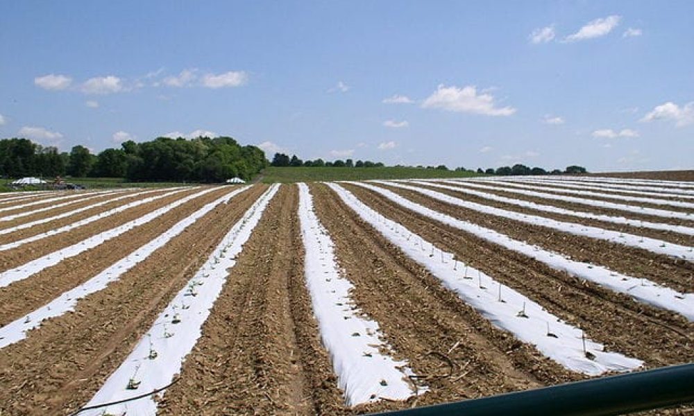 Agricultural Films
