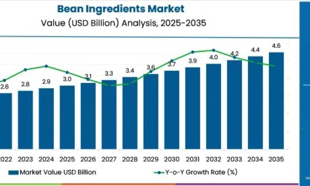 bean-ingredients-market-market-v