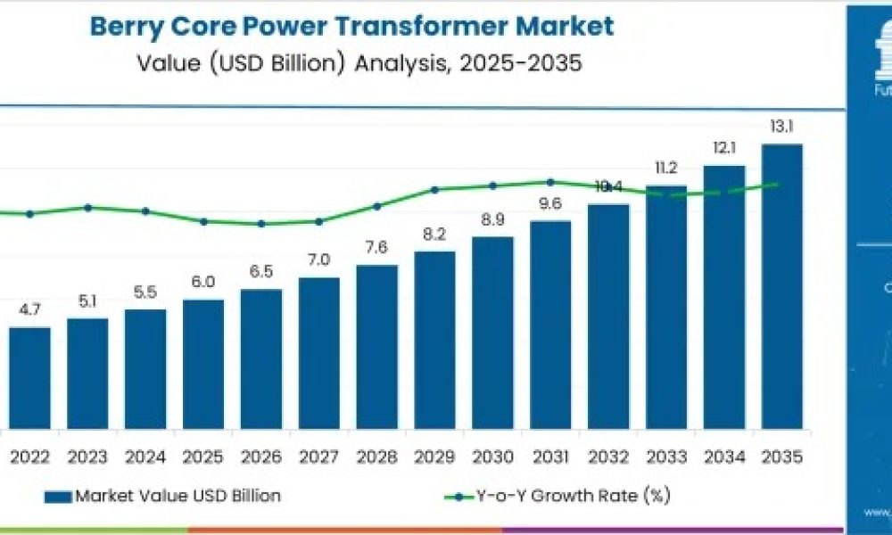Berry Core Power Transformer Market
