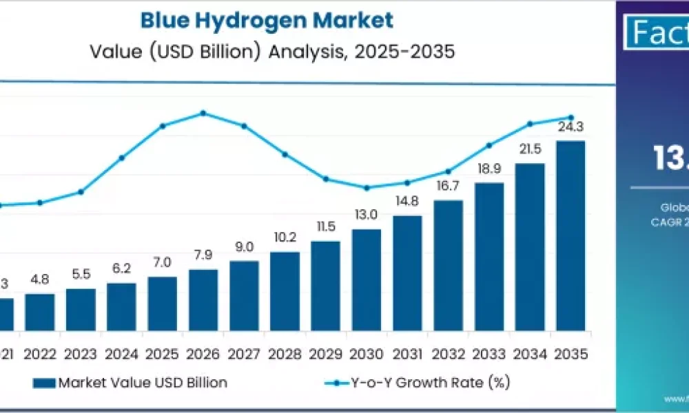 Blue Hydrogen Market
