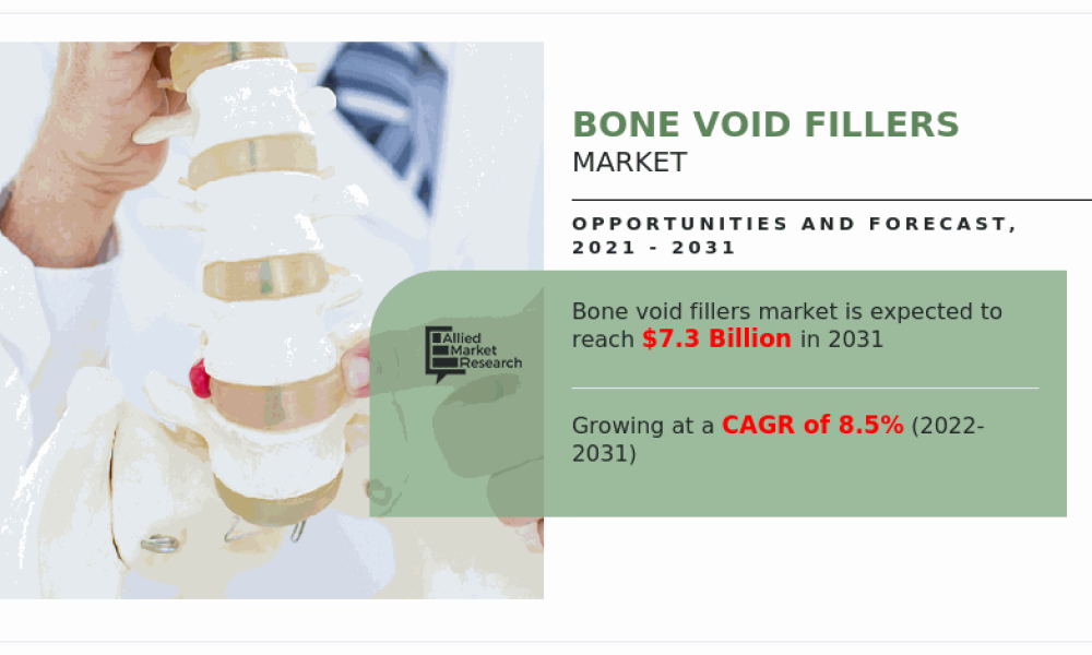 Bone Void Fillers Market