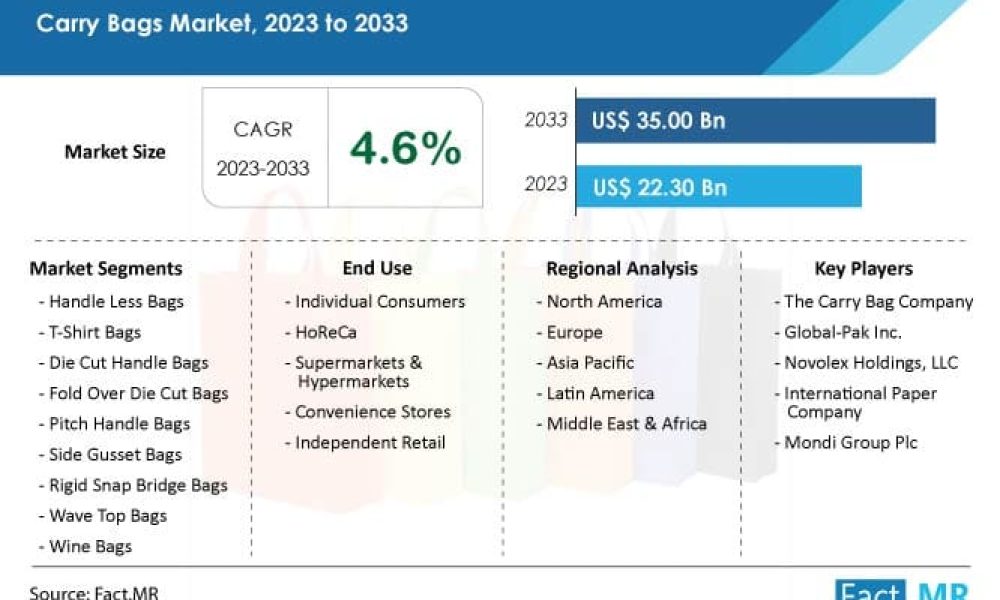 Carry Bags Market
