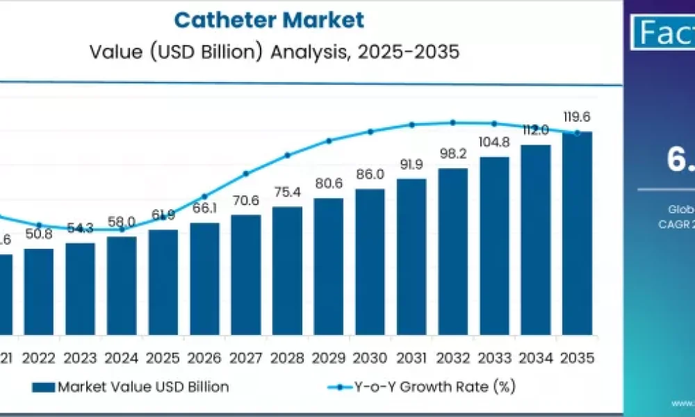 Catheter Market