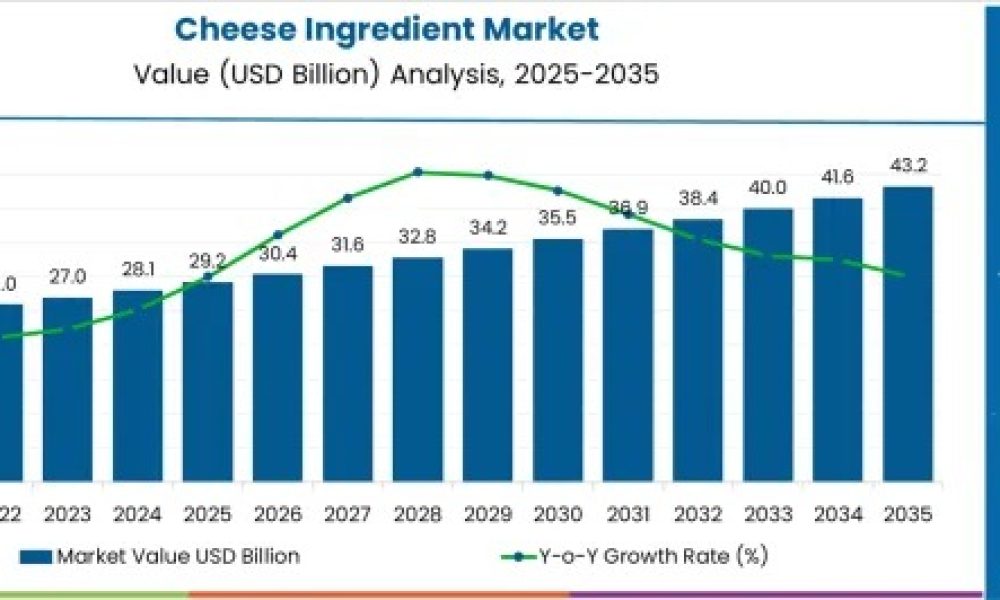 cheese-ingredient-market-market