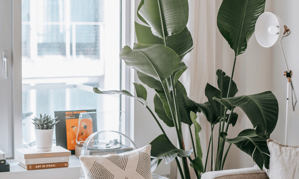 choicehomecenter.com_PR