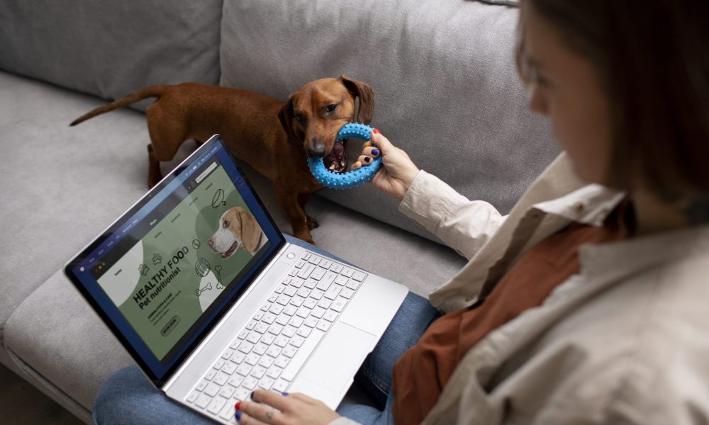 Dog Boarding Guide: Key Things to Know and Ask Before Booking