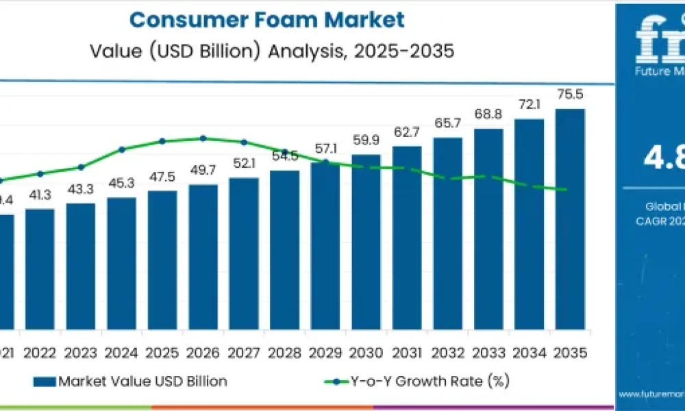 Consumer Foam Market