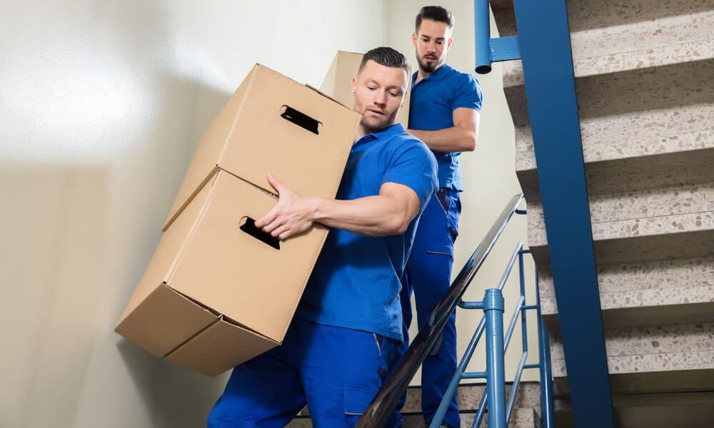 Copyright Davie FL Movers