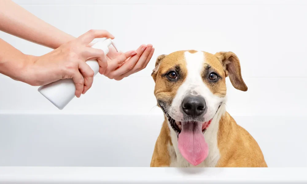 dog shampoo