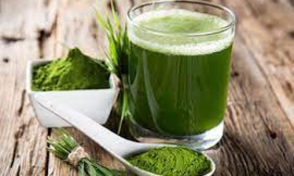 Vegetable Powder Market