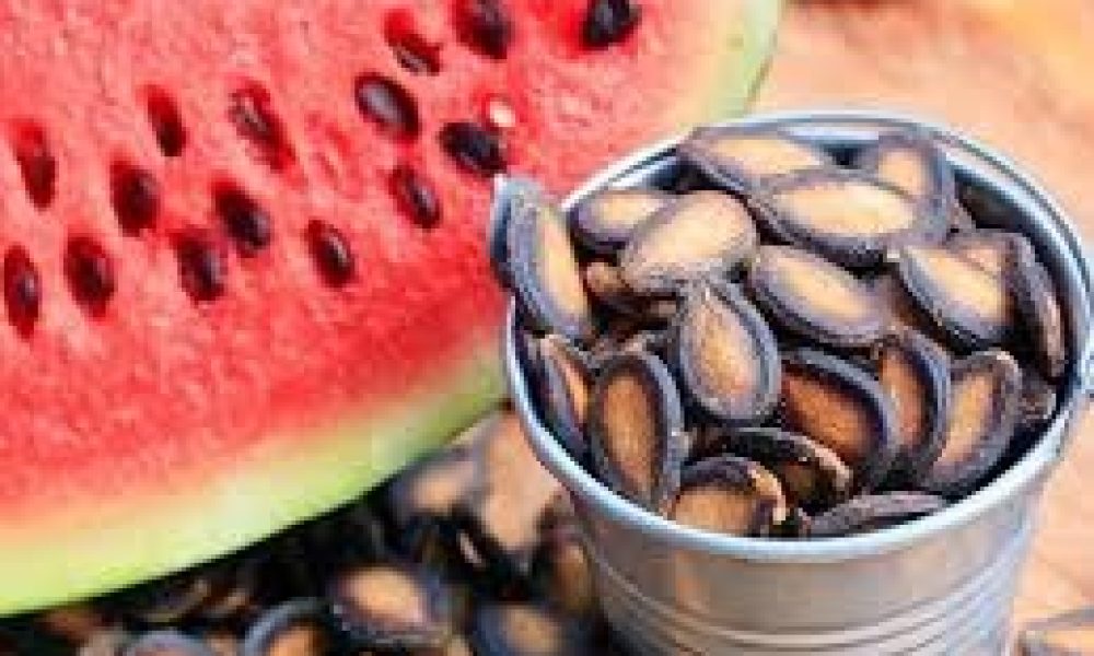 Hybrid Fruit Seed Market