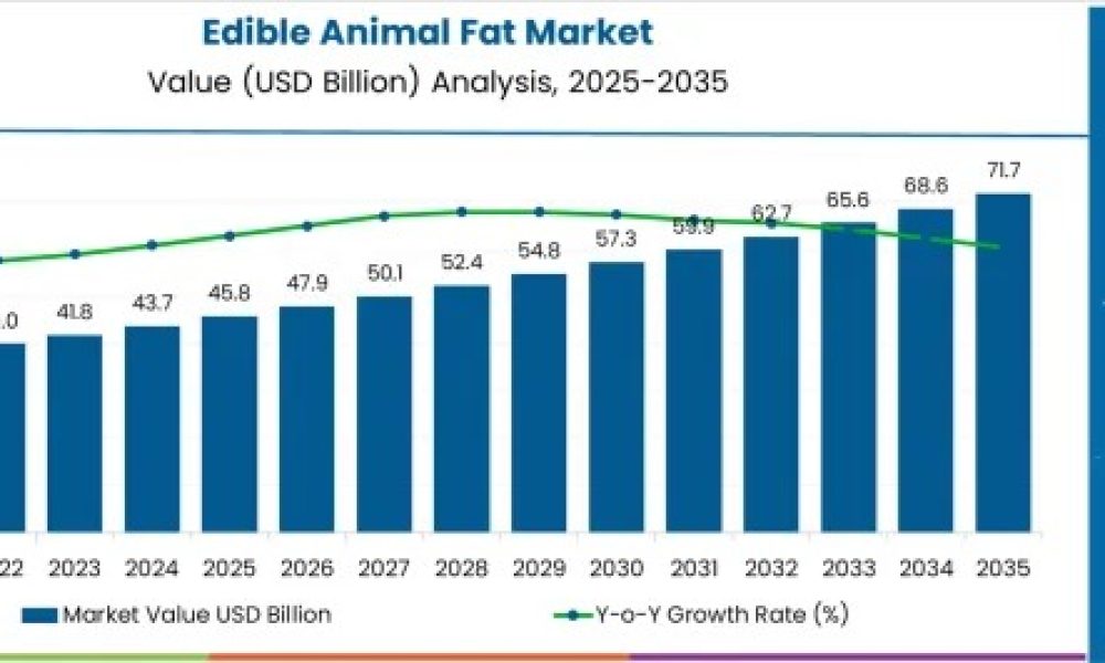 edible-animal-fat-market-market