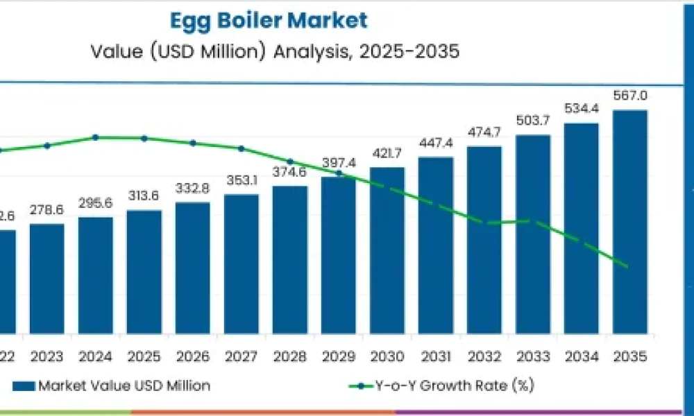 Egg Boiler Market