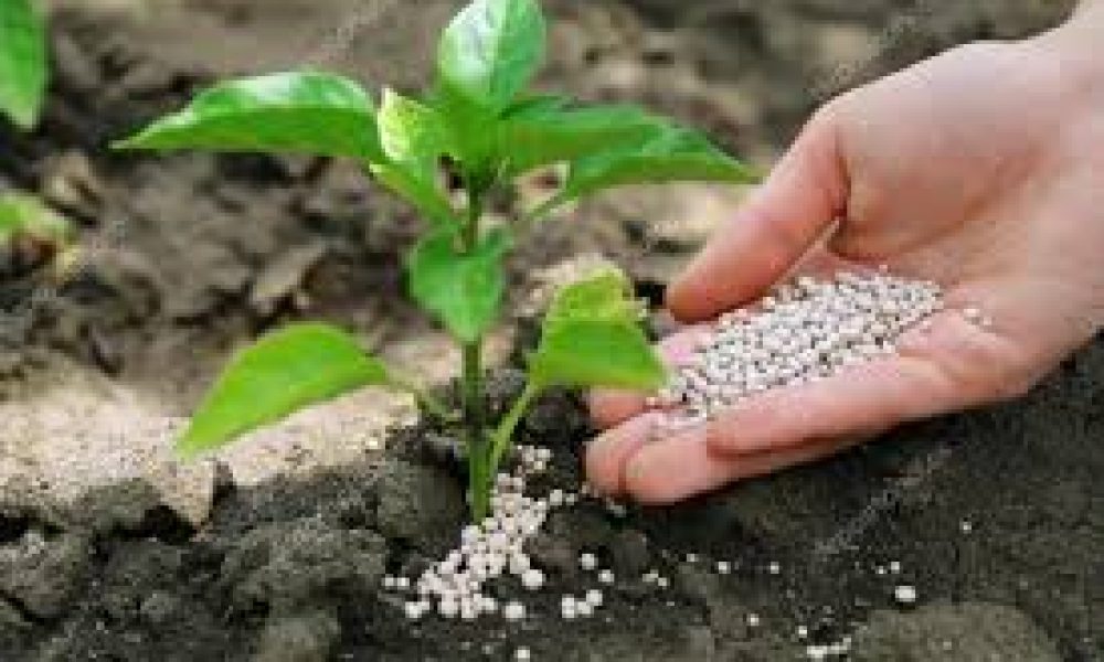 Fertilizer Additives Market Forecast to Boom & Reaching Impressive ...
