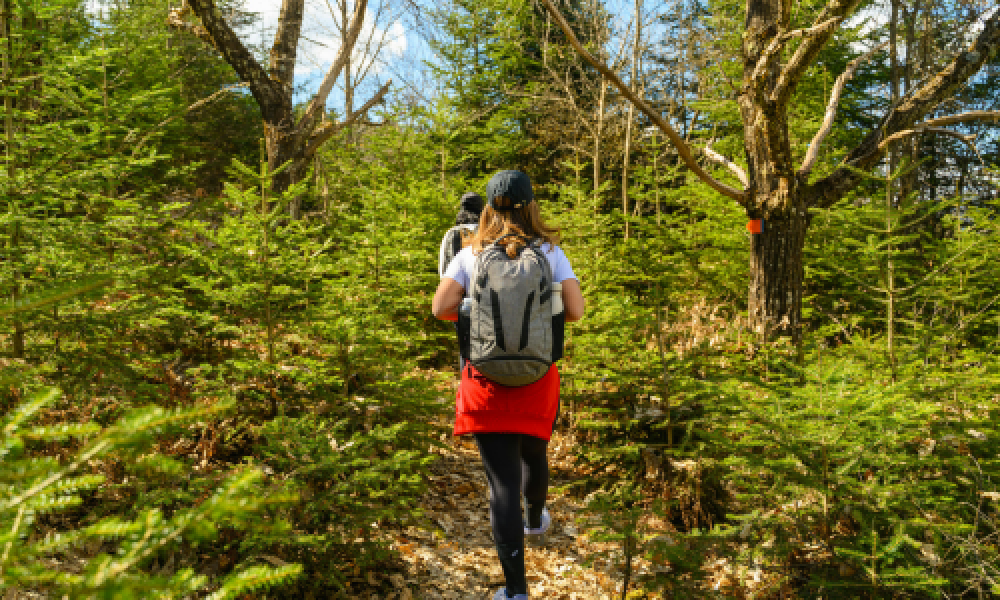 HiddenTrailOutdoors
