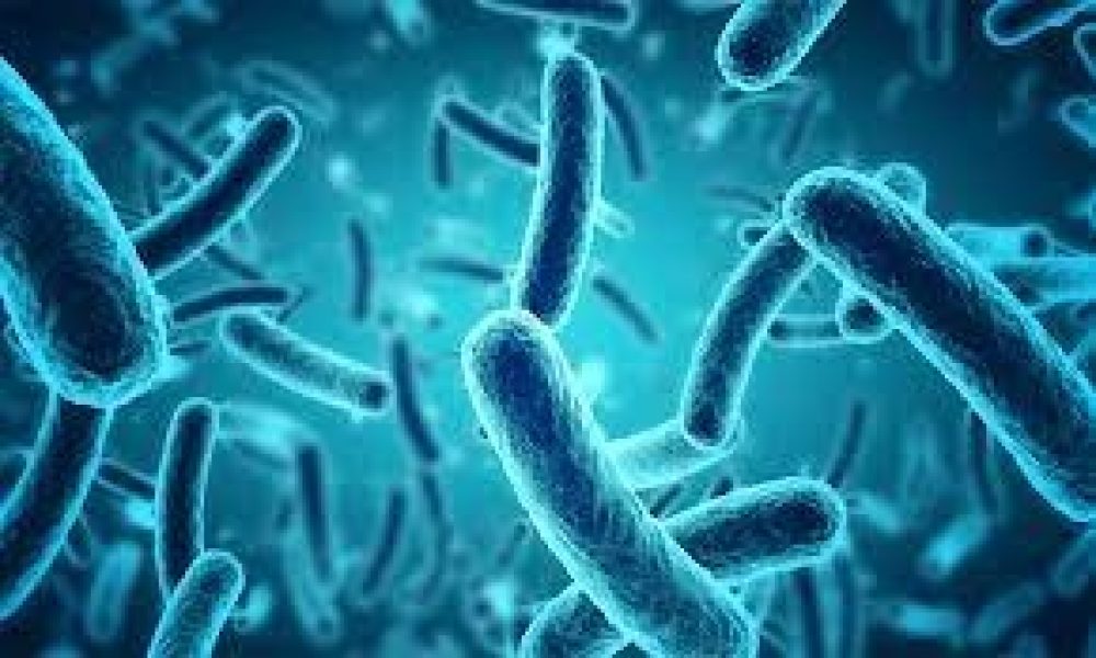 Bacterial Pneumonia Market