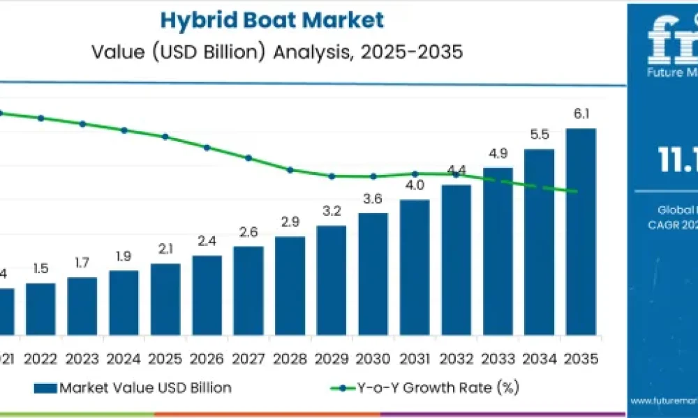 Hybrid Boat Market
