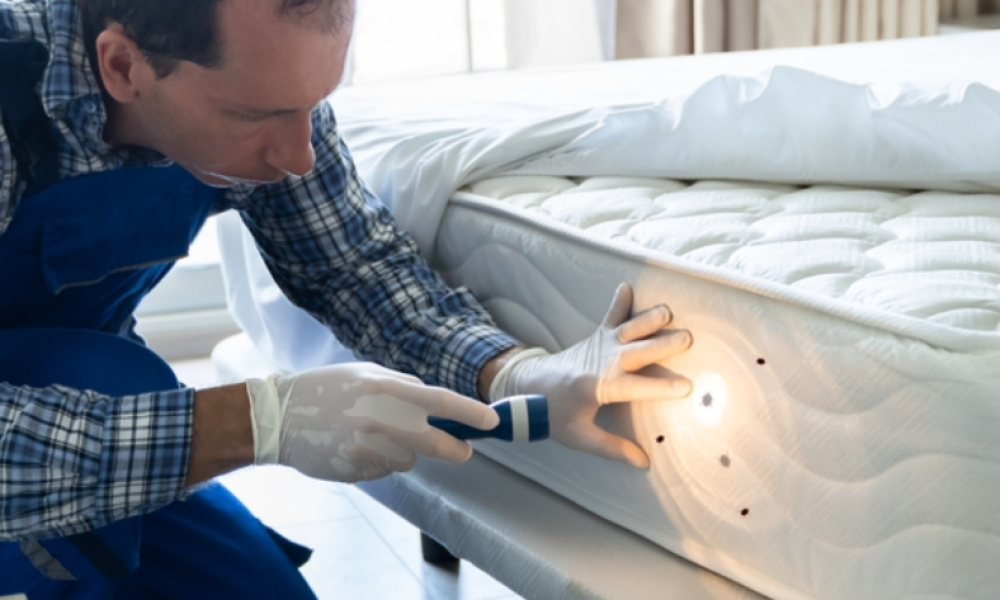 professional pest control technician conducting a bed bug inspection in a residential home representing bed bug treatment residential pest control Georgia and Tennessee homeowners need