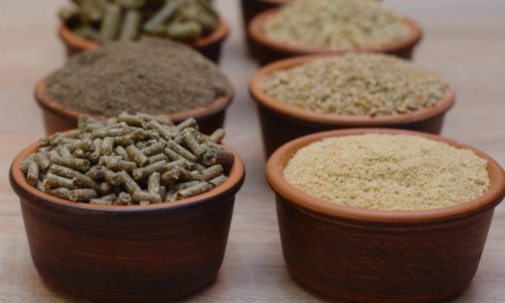 Cattle Feed and Feed Additives Market