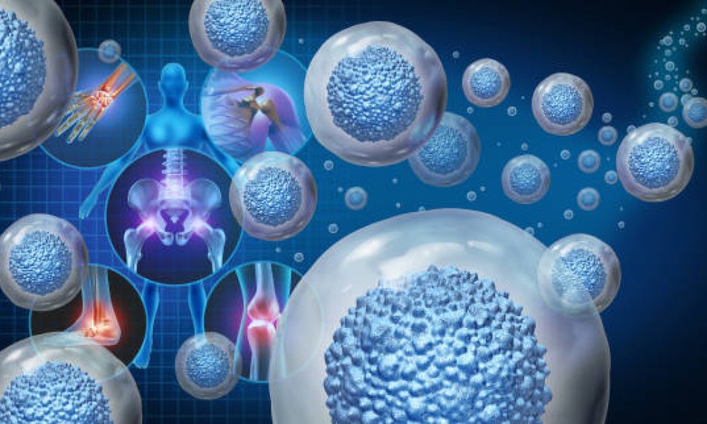 Natural Killer (NK) Cell Therapeutics Market