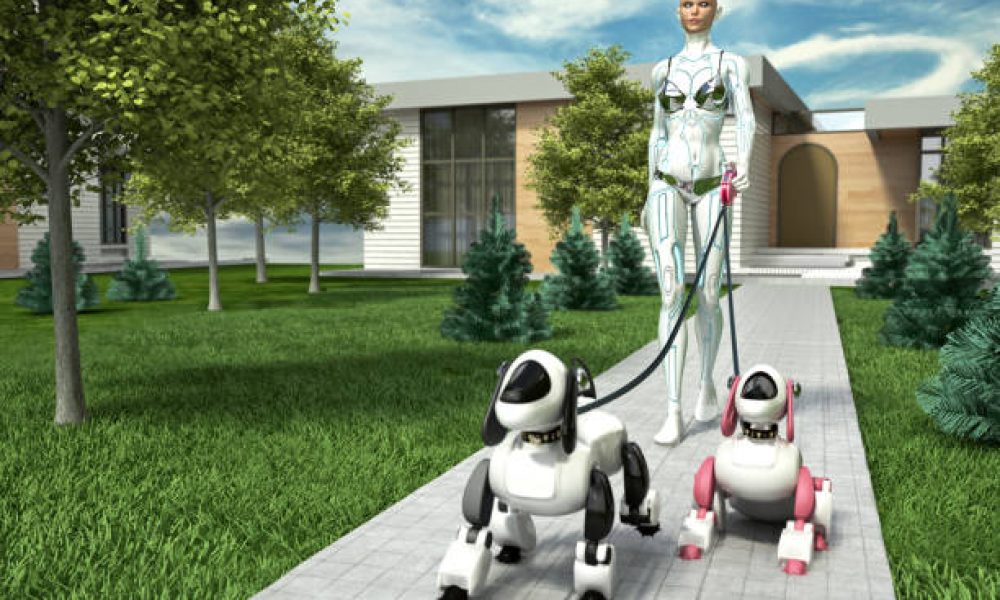 Robot Pet Care Market