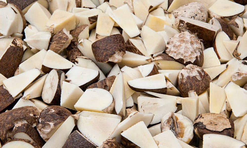Hemicellulase Market