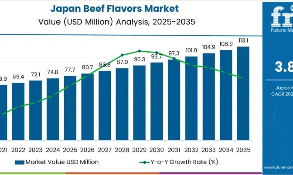 japan-beef-flavors-market-market
