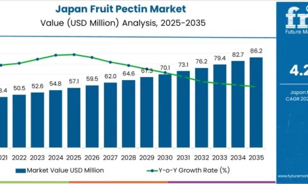 japan-fruit-pectin-market-market (1)