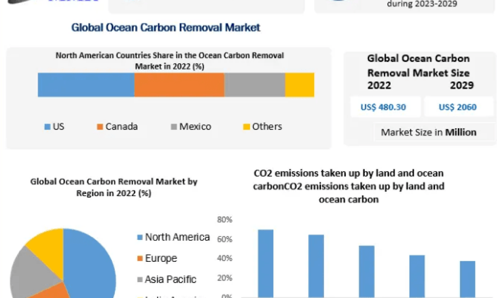 Ocean Carbon Removal Market