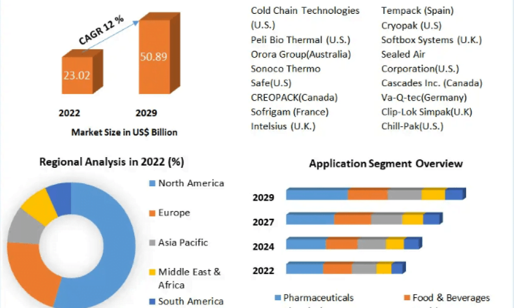 Cold Chain Packaging Market