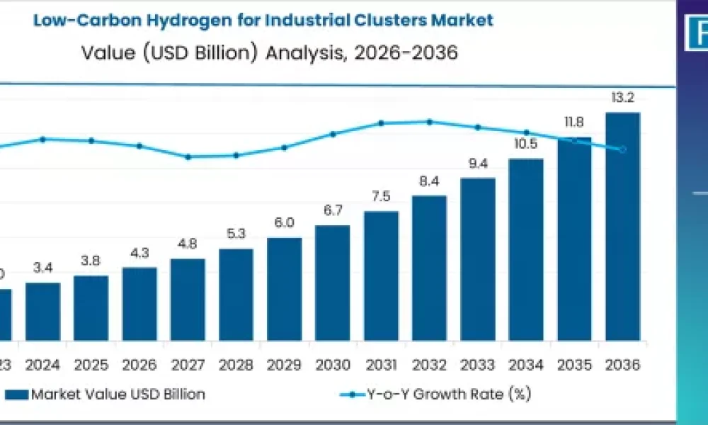 low-carbon-hydrogen-for-industrial-clusters-market-market-value-analysis
