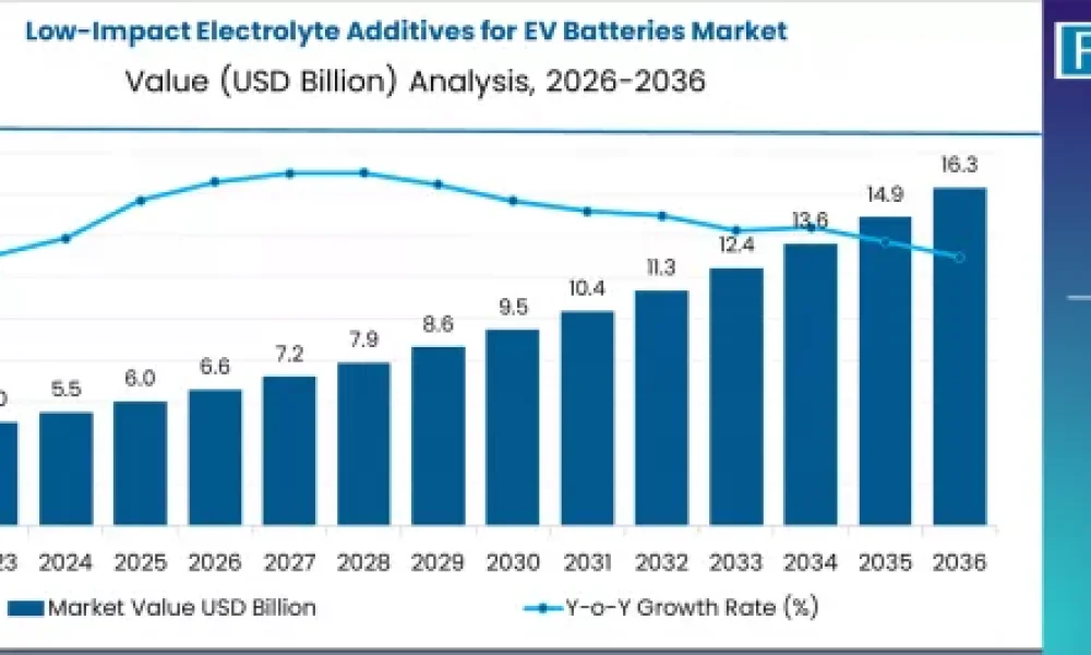 low-impact-electrolyte-additives-for-ev-batteries-market-market-value-analysis