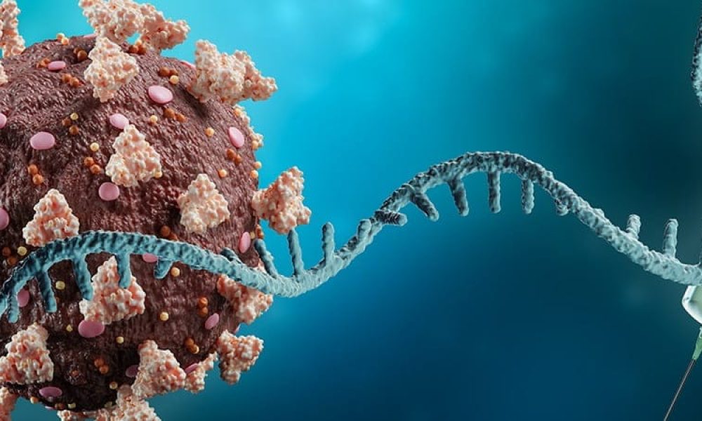mRNA Vaccines & Therapeutics