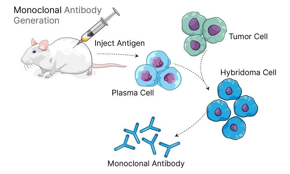 Monoclonal Antibodies Market