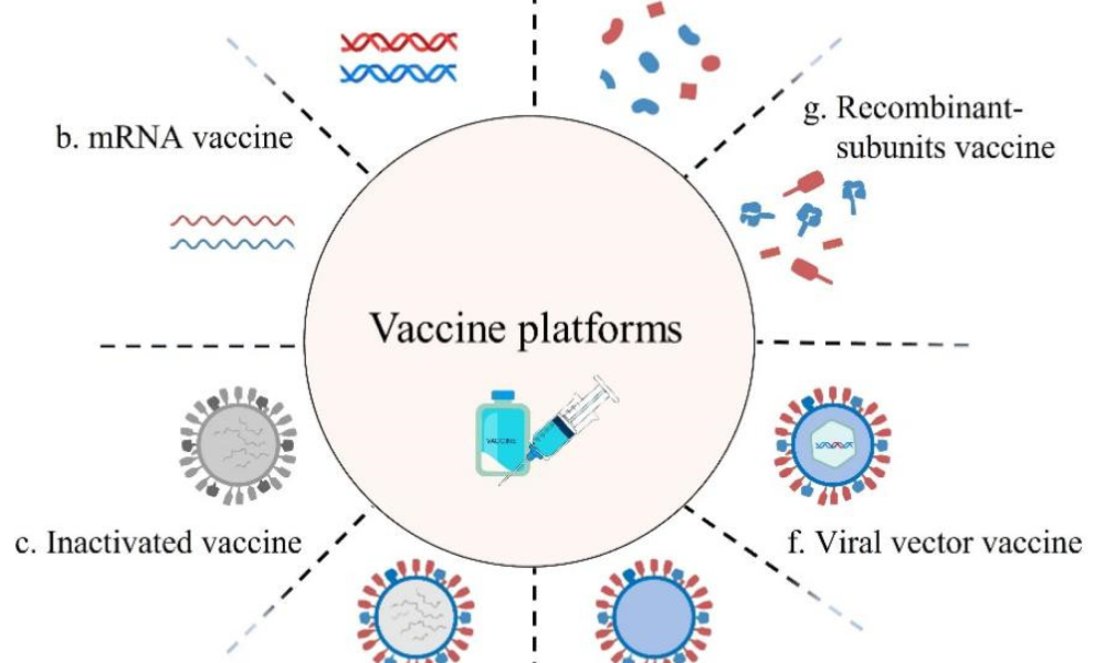 Viral Vector Vaccines Market